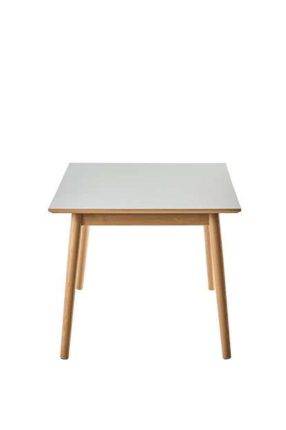 Udtræksbord 3815
