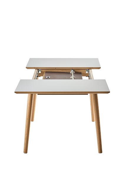 Udtræksbord 3815