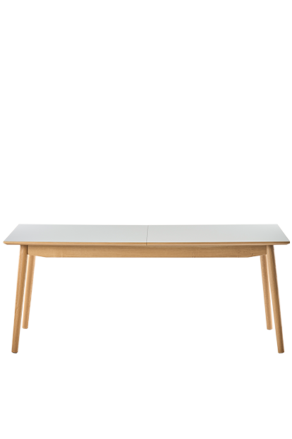 Udtræksbord 3815