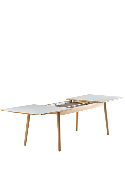 Udtræksbord 3815